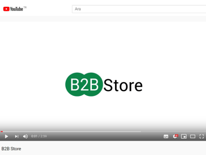 B2B Store B2B Store Promotion Video