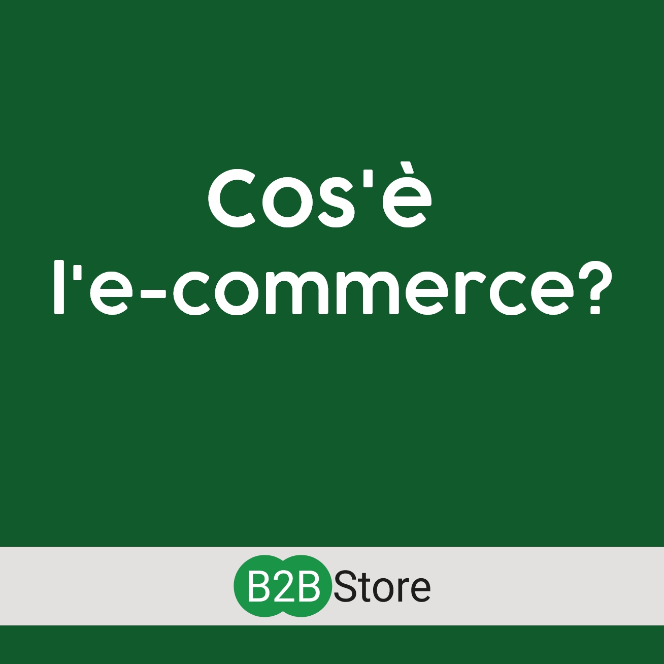 B2B Store Cos'è l'e-commerce?
