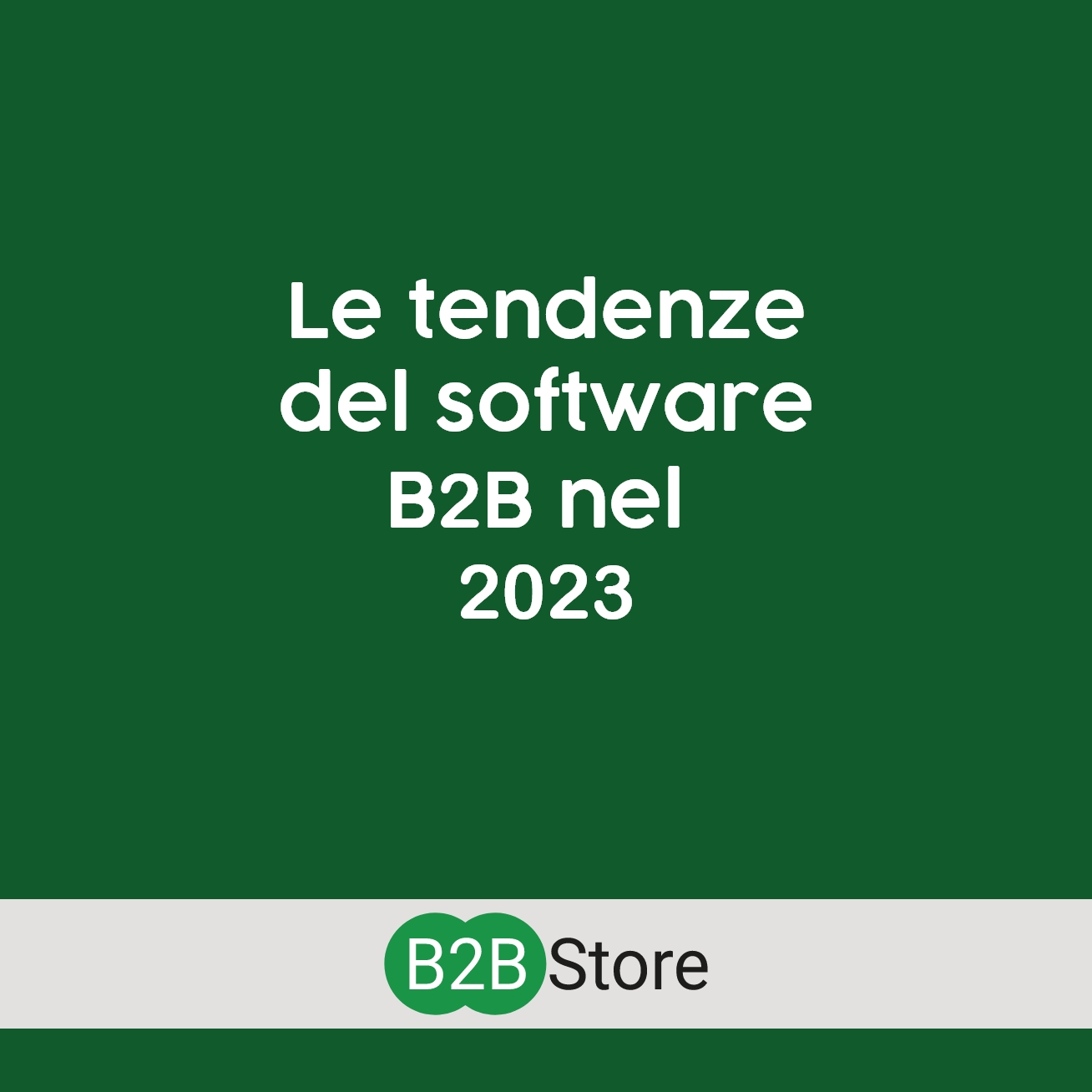 B2B Store, Le tendenze del software B2B nel 2023