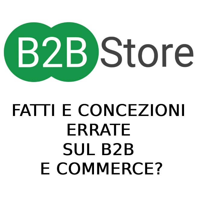 B2B Store, article, ecommerce, b2b software